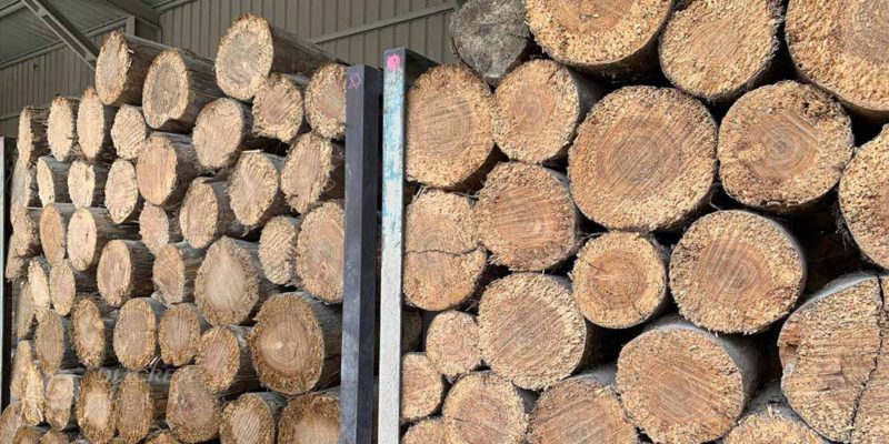 2020年鑽泥板全面採用國產疏伐木材，主要使用台灣杉作為木絲原料。
