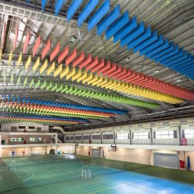 桃園元智大學體育館，偌大的空間以噴塗多彩的鑽泥板豐富空間上方的層次，也減緩館內回音。