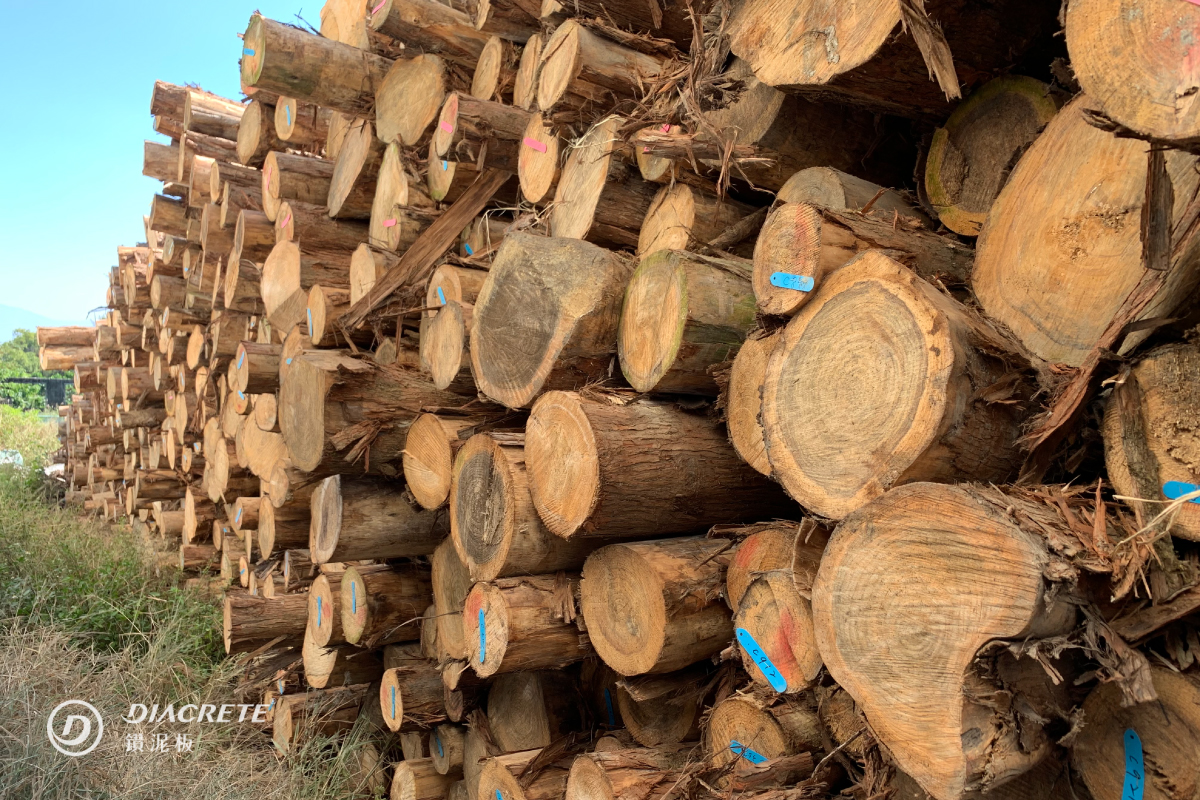 鑽泥板原料使用台灣在地人工林所疏伐下來的台灣杉木材。